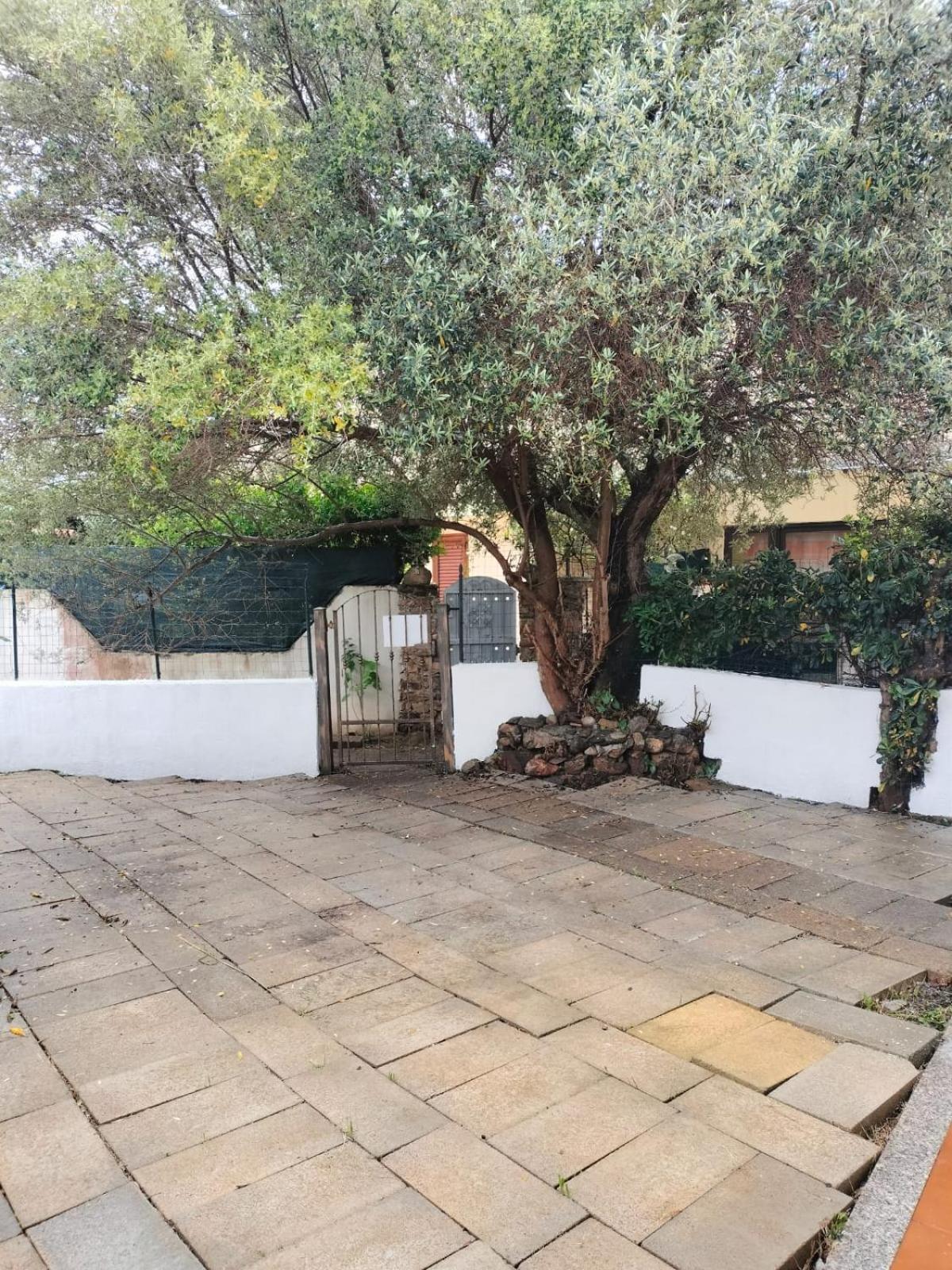 Casa Antony Villa San Teodoro  Bagian luar foto